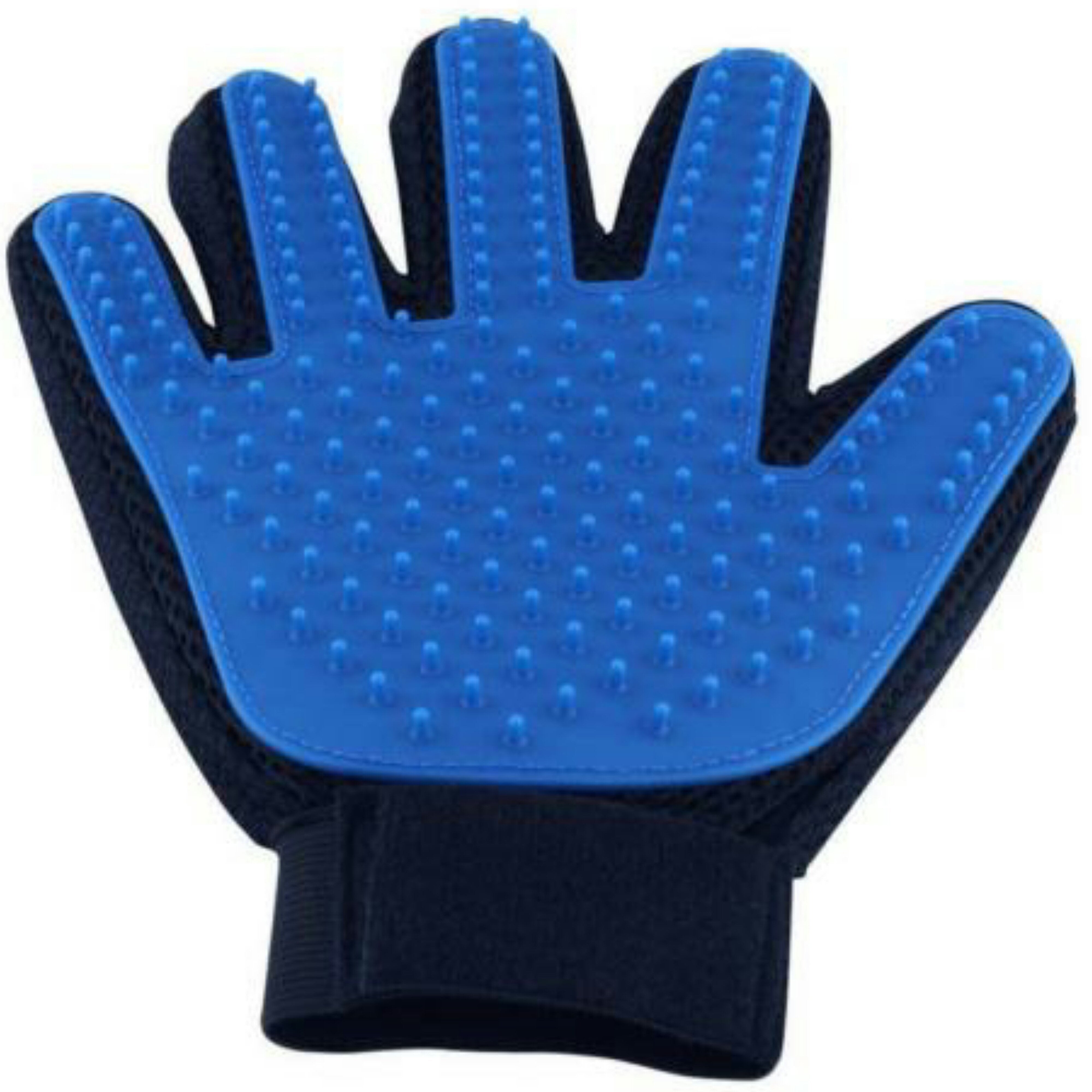 Blue grooming glove with textured surface on a white background