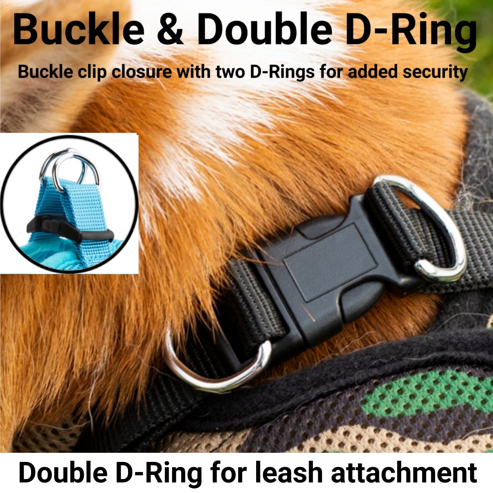Dog harness with buckle and double D-ring for added security, on a dog's back.