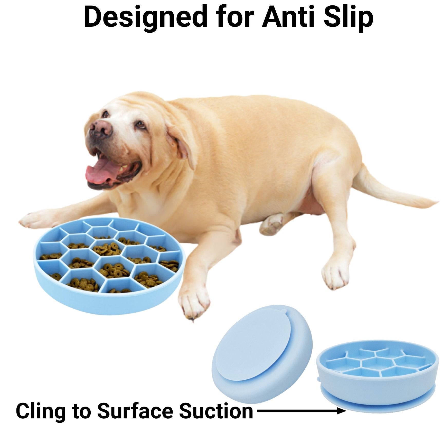 Dog with a blue anti-slip dog bowl on a white background