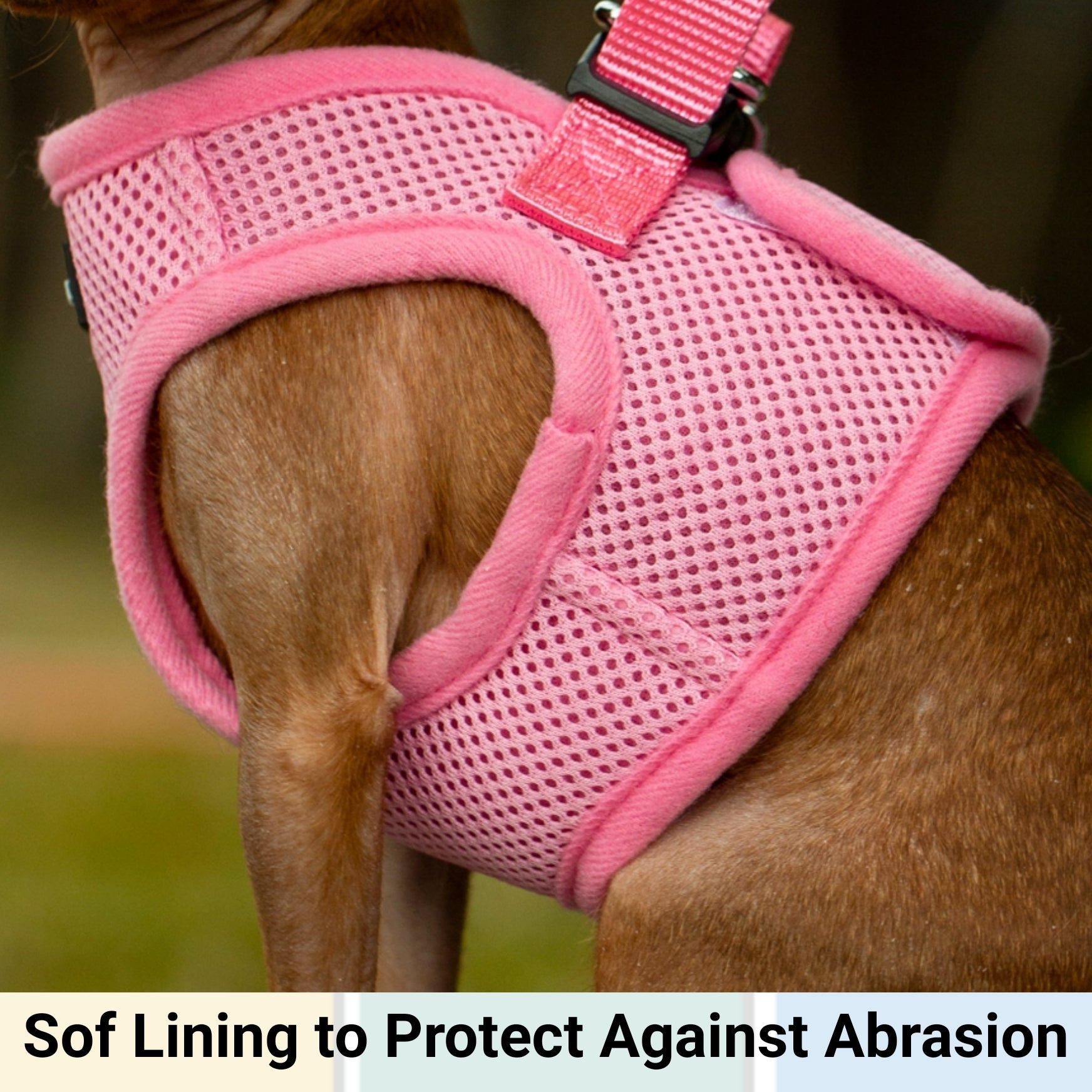 Pink mesh dog harness with text 'Sof Lining to Protect Against Abrasion' on a blurred background