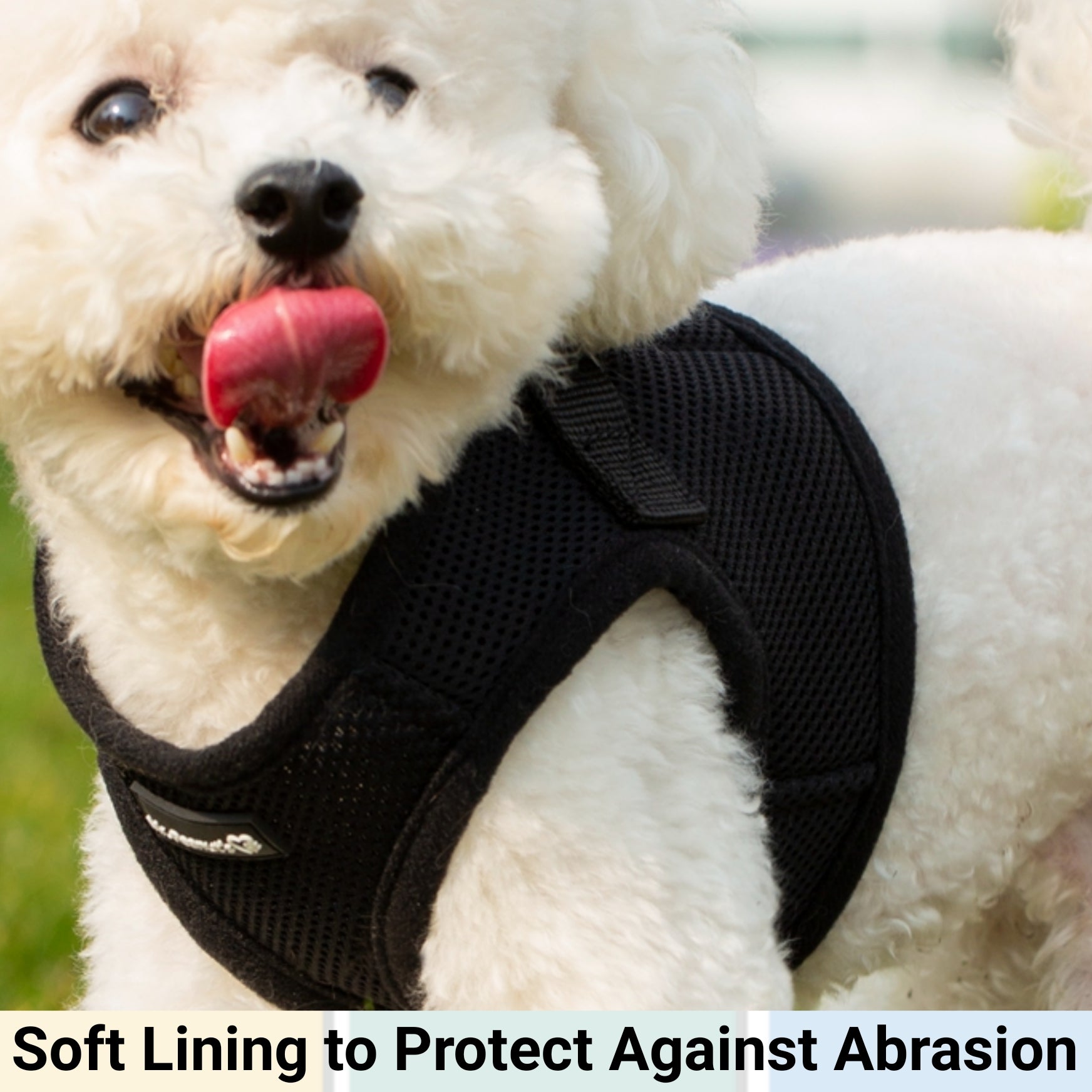 White dog wearing a black harness with text 'Soft Lining to Protect Against Abrasion' at the bottom.