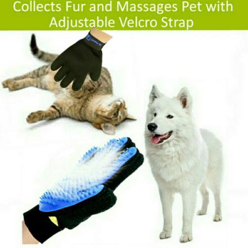 Pet grooming glove with adjustable velcro strap, cat, and dog on a white background
